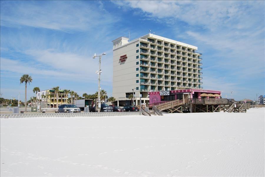 Suite Retreat @ Beachview 226 Gulf Shores Eksteriør billede